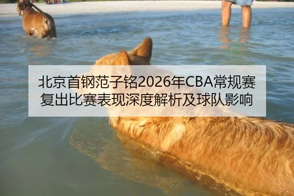 北京首钢范子铭2026年CBA常规赛复出比赛表现深度解析及球队影响