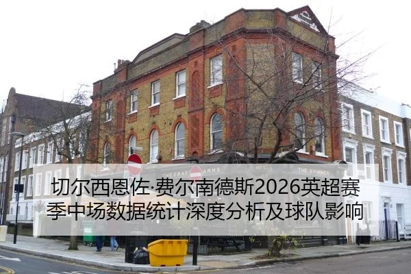 切尔西恩佐·费尔南德斯2026英超赛季中场数据统计深度分析及球队影响